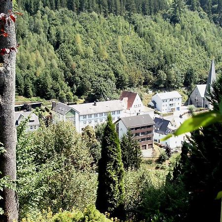 盖斯夫润达塔卡塔琳娜酒店 Schwarzenbach am Wald 外观 照片